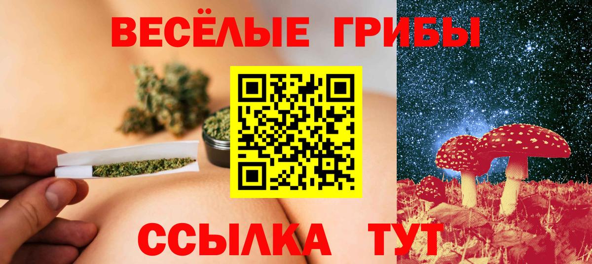 Нижний Тагил  Галлюциногенные грибы прущие грибы  Вход с VPN 